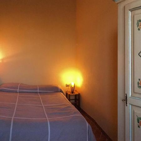Agriturismo Terre Di Musignano Canino Ngoại thất bức ảnh