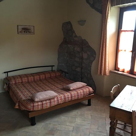 Agriturismo Terre Di Musignano Canino Ngoại thất bức ảnh
