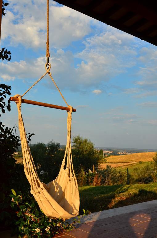 Agriturismo Terre Di Musignano Canino Phòng bức ảnh
