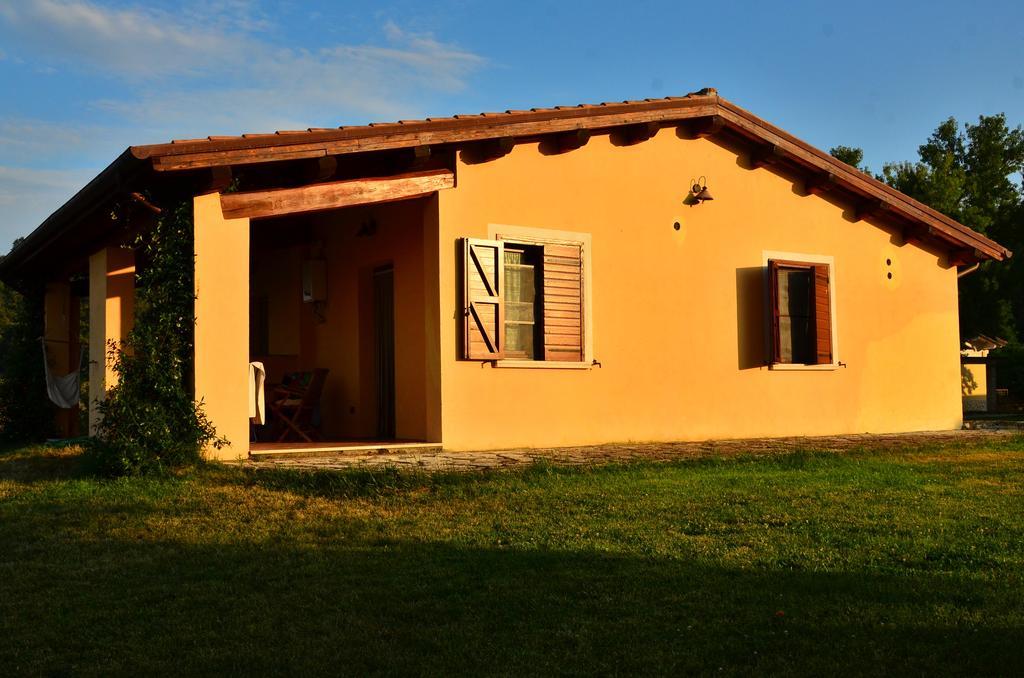 Agriturismo Terre Di Musignano Canino Phòng bức ảnh