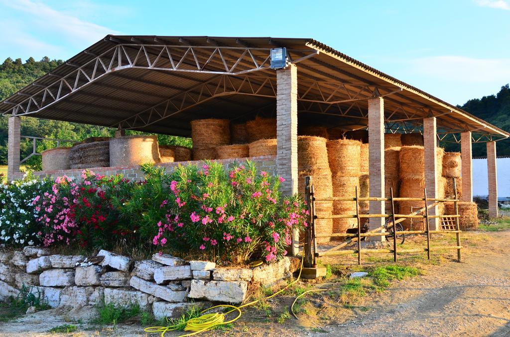 Agriturismo Terre Di Musignano Canino Phòng bức ảnh