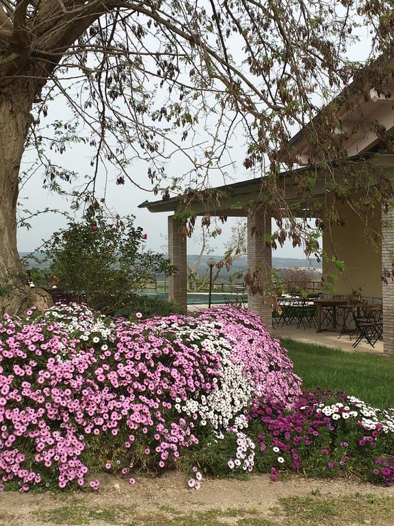 Agriturismo Terre Di Musignano Canino Ngoại thất bức ảnh