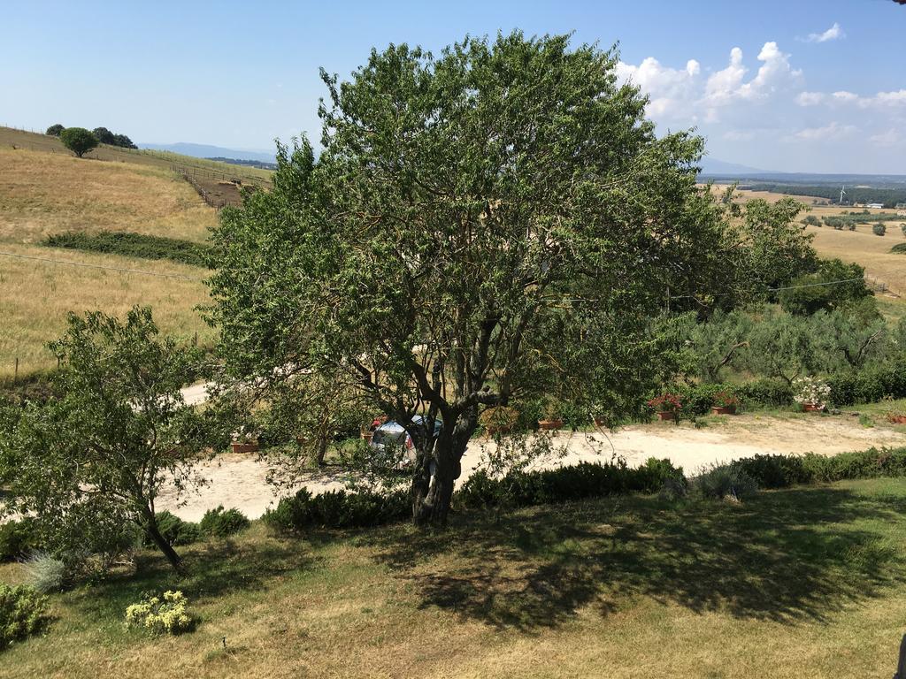 Agriturismo Terre Di Musignano Canino Ngoại thất bức ảnh