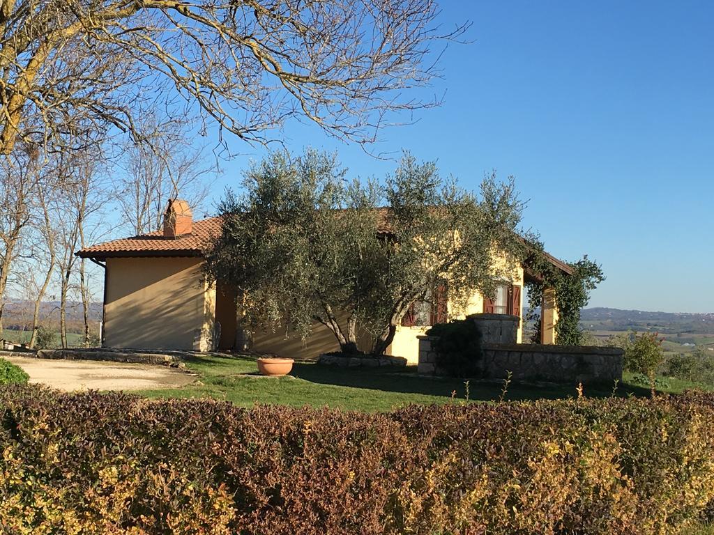 Agriturismo Terre Di Musignano Canino Ngoại thất bức ảnh