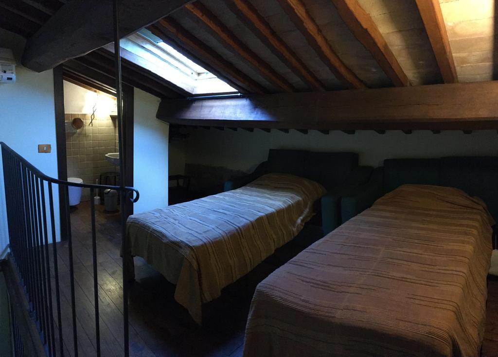 Agriturismo Terre Di Musignano Canino Ngoại thất bức ảnh